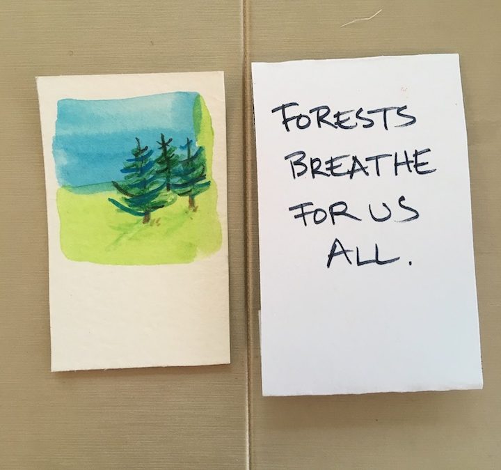 Forests Breath for Us All