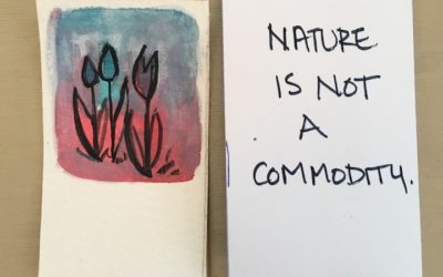 Nature is Not a Commodity